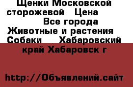 Щенки Московской сторожевой › Цена ­ 35 000 - Все города Животные и растения » Собаки   . Хабаровский край,Хабаровск г.